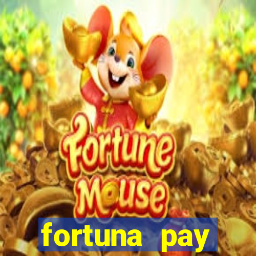 fortuna pay consultoria financeira ltda